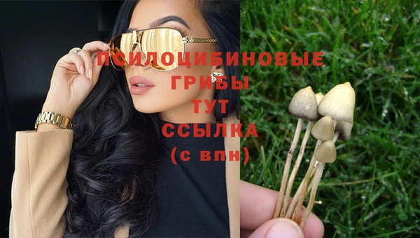 ECSTASY Осинники