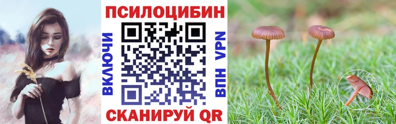 купить закладку Правдинск Галлюциногенные грибы ЛСД