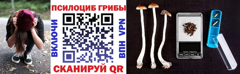 Псилоцибиновые грибы GOLDEN TEACHER Правдинск