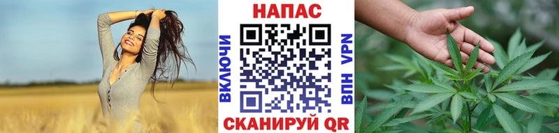 Шишки марихуана Amnesia  купить закладку  Правдинск 